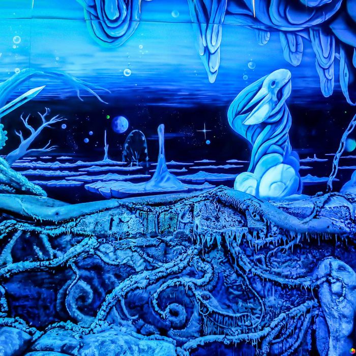 Blaue-Grotte-Pelikan