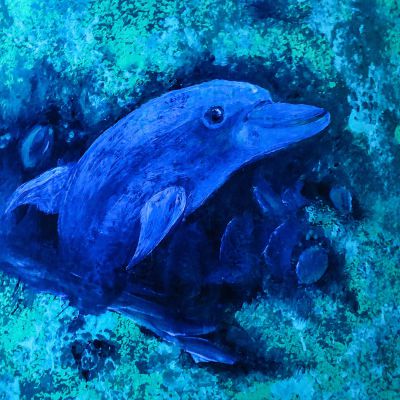 Delfin-uv